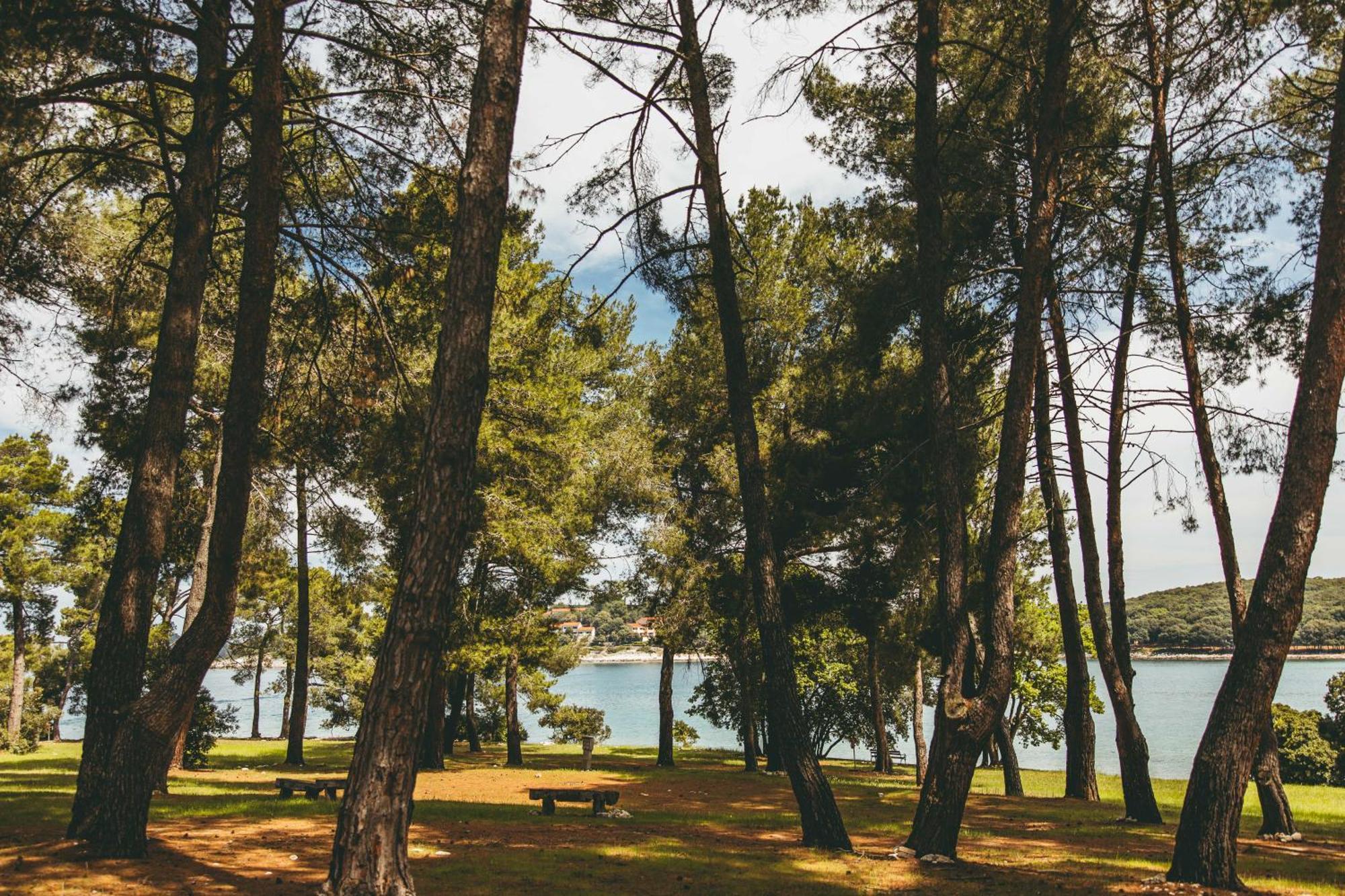 Maistra Camping Koversada Uncovered Naturist Pitches Врсар Екстер'єр фото